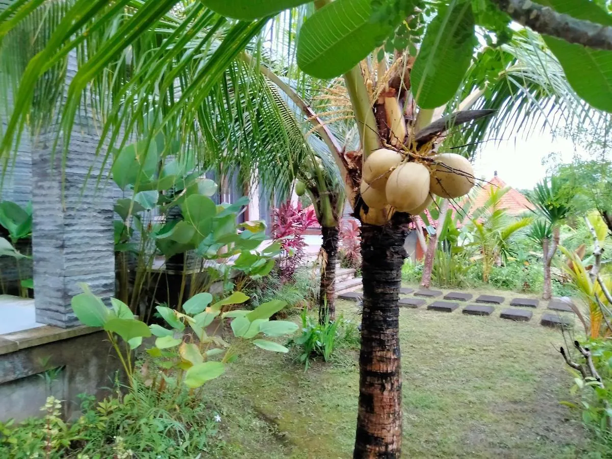 Pier26 Bali Homestay Nusa Dua  0*, Nusa Dua (Bali)